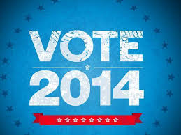 Vote 2014 image